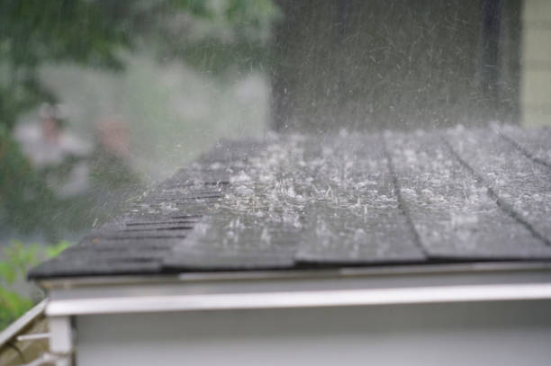 Best Roof Maintenance and Cleaning  in Centerville, PA