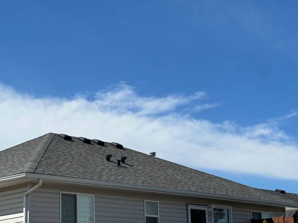 Roof Coating Services in Centerville, PA